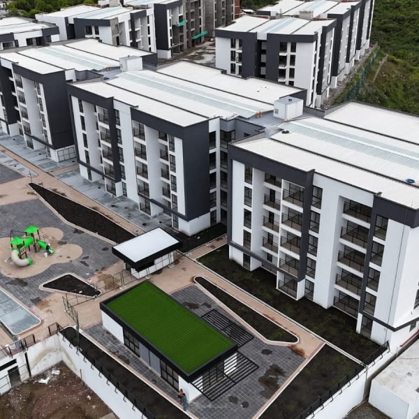 Avance_0126_Guaduales1