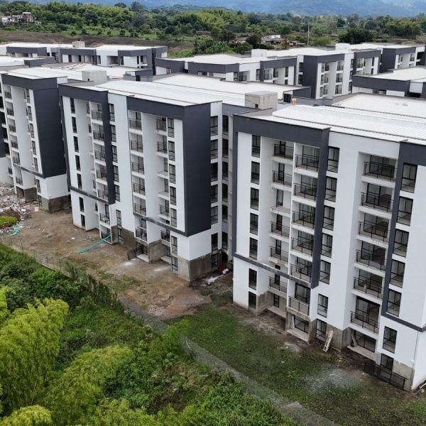 Avance_0126_Guaduales12