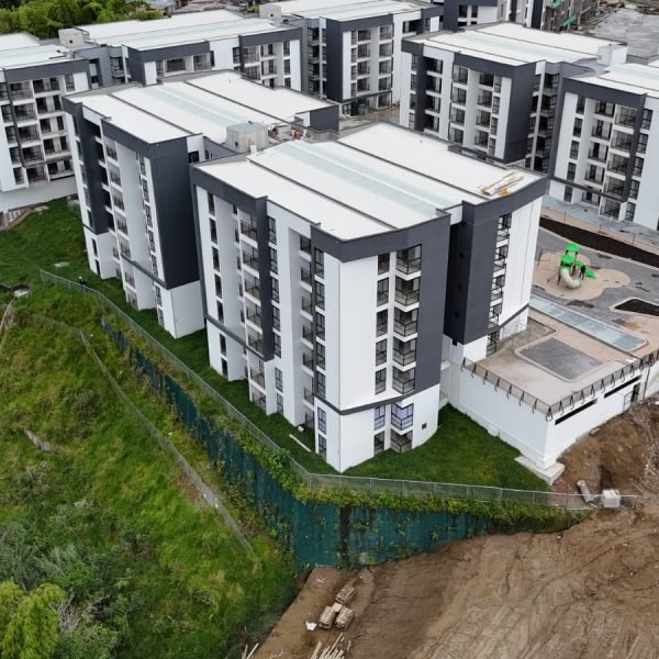 Avance_0126_Guaduales2