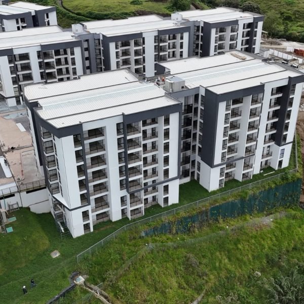 Avance_0126_Guaduales4