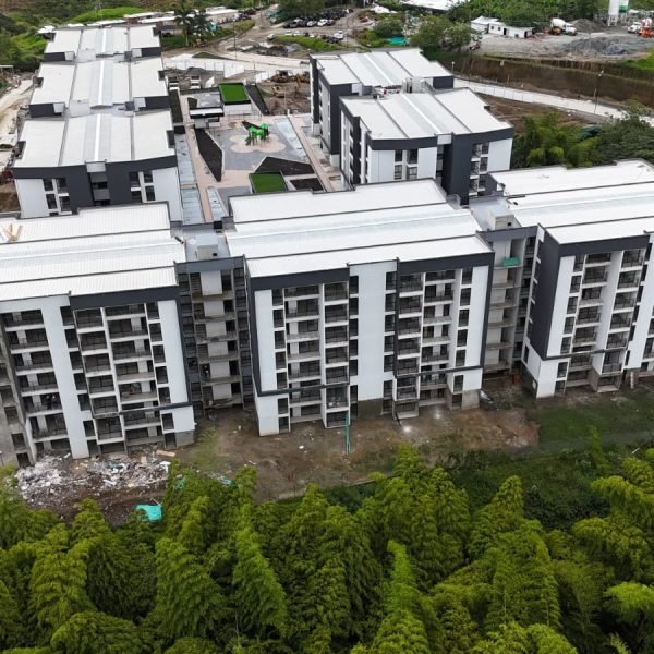 Avance_0126_Guaduales6