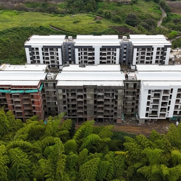 Avance_0126_Guaduales7